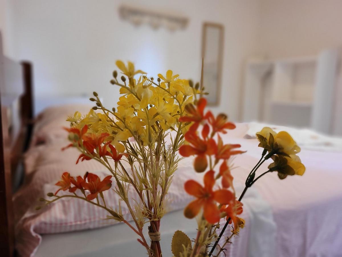 Recanto Dos Nativo Hostel